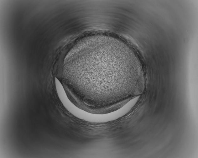 X0000096411110200802211219