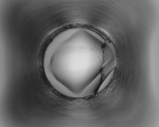 X0000096411112200802211219