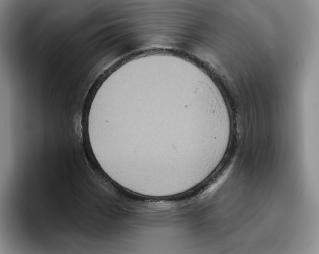 X0000096411113200802211219