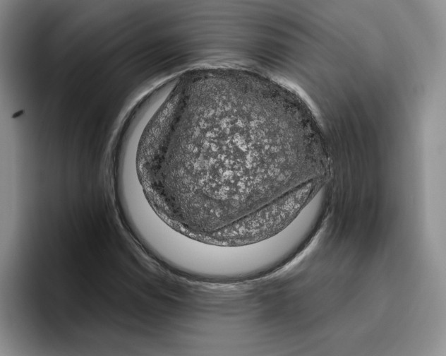 X0000096411114200802211219