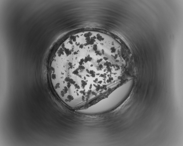 X0000096411115200802211219