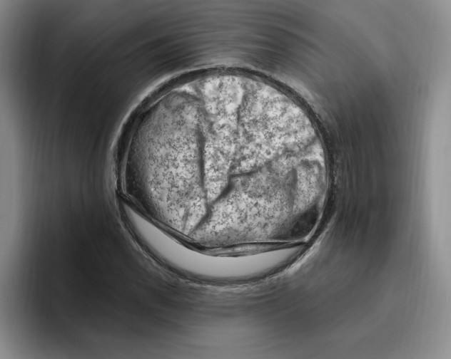 X0000096411118200802211219