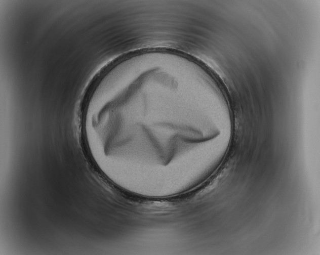 X0000096411119200802211219