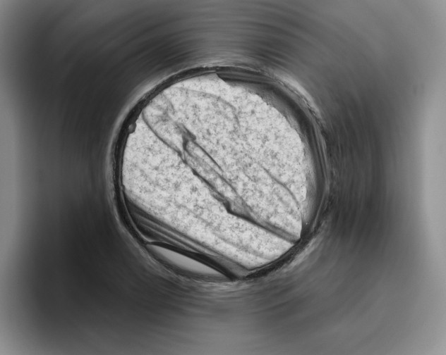 X0000096411122200802211219