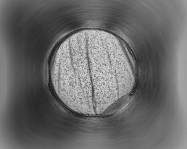 X0000096411123200802211219