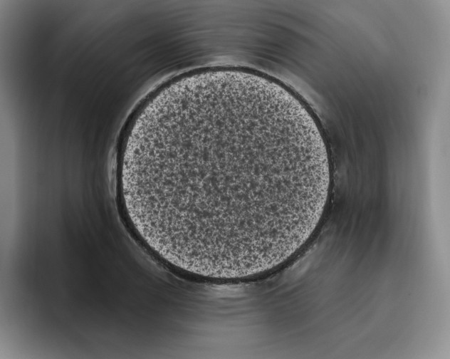 X0000096411126200802211219
