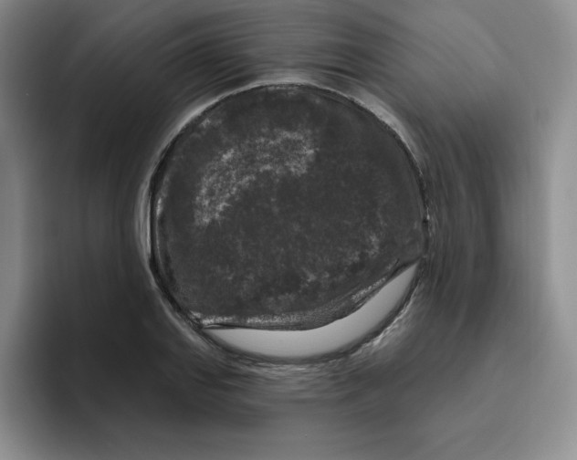 X0000096411127200802211219