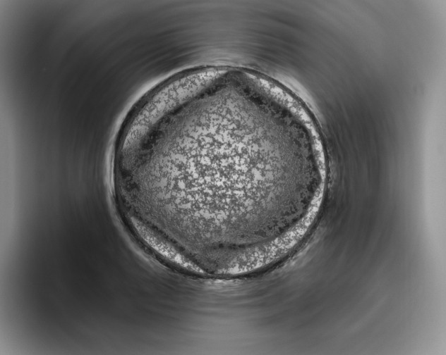 X0000096411128200802211219
