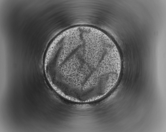 X0000096411129200802211219