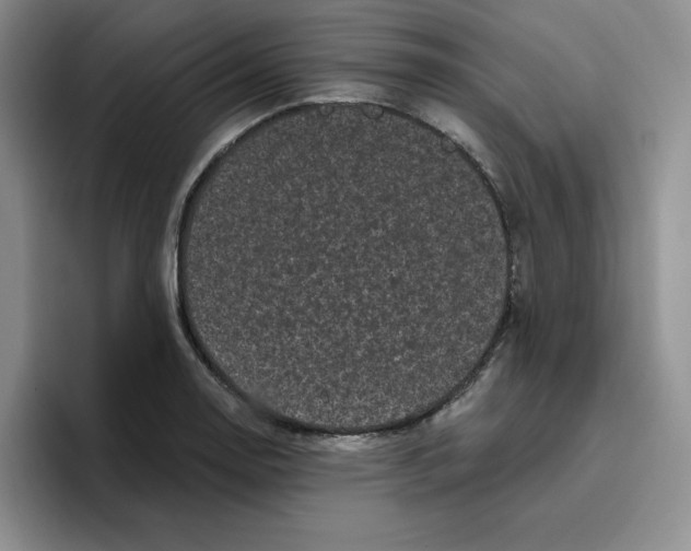X0000096411130200802211219