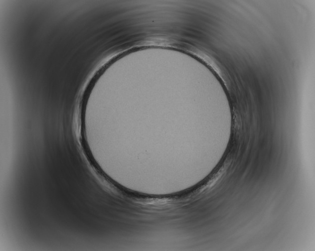 X0000096411131200802211219