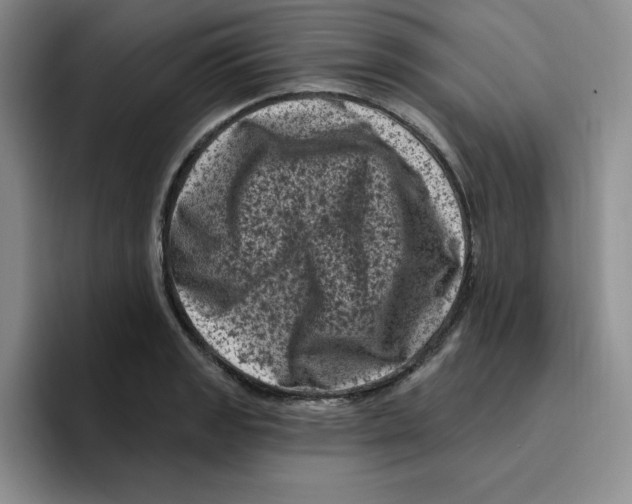 X0000096411133200802211219
