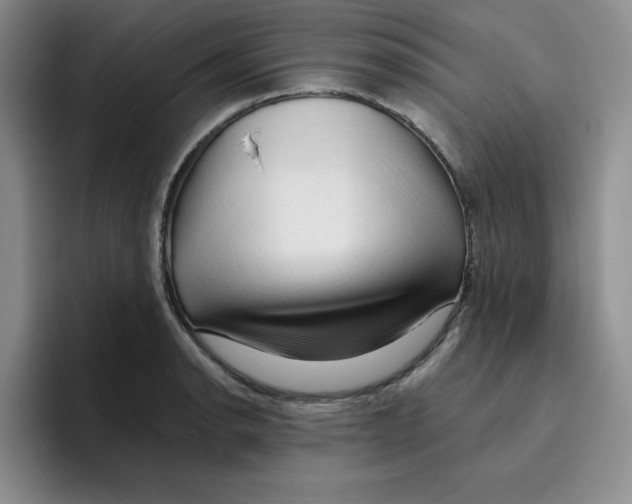 X0000096411134200802211219
