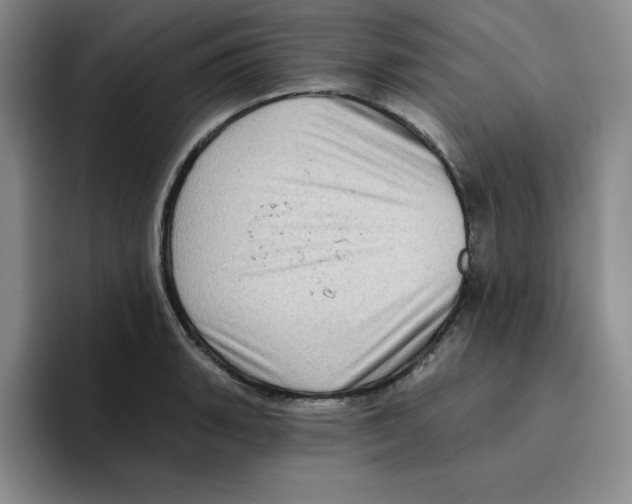 X0000096411135200802211219