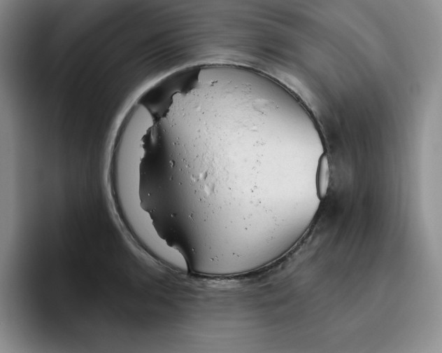 X0000096411136200802211219