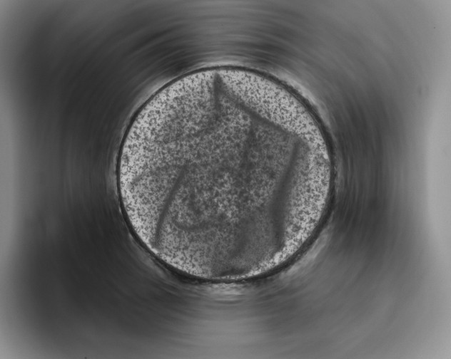 X0000096411137200802211219