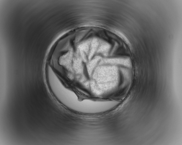 X0000096411138200802211219