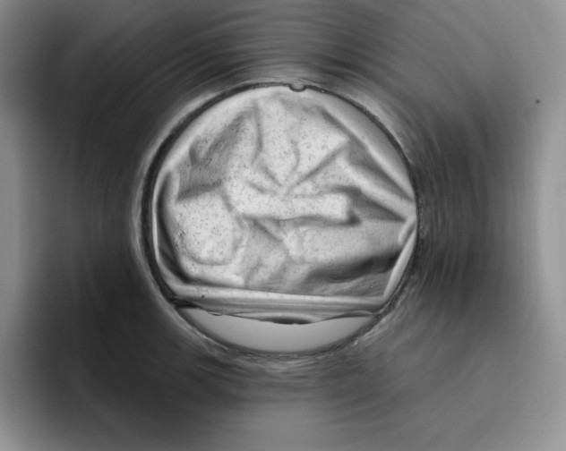 X0000096411139200802211219