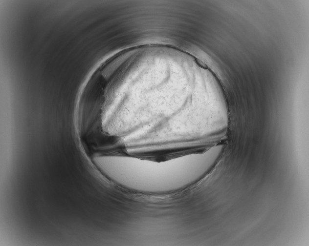 X0000096411140200802211219