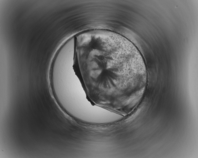 X0000096411141200802211220