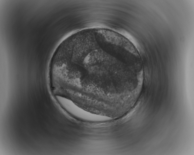 X0000096411142200802211220