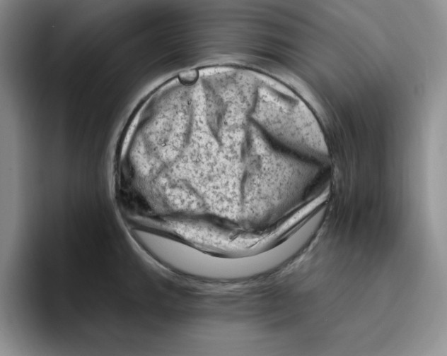 X0000096411143200802211220
