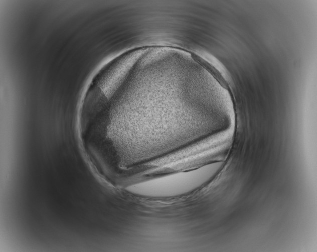 X0000096411144200802211220