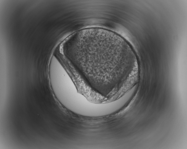 X0000096411145200802211220