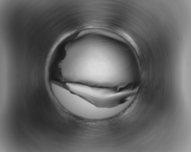 X0000096411146200802211220