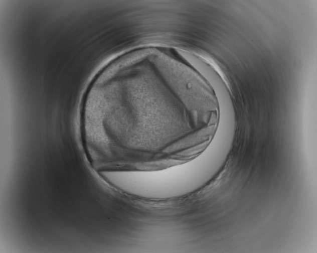 X0000096411147200802211220