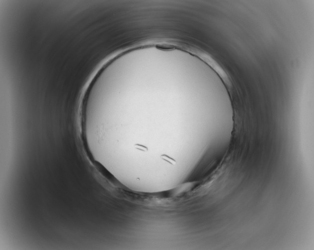 X0000096411148200802211220