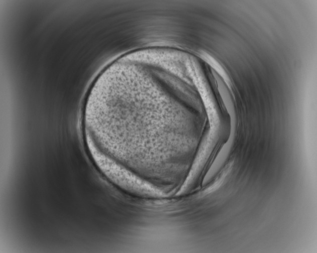 X0000096411149200802211220