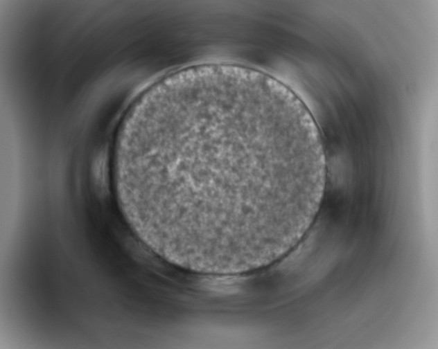 X0000096411150200802211220