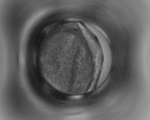 X0000096411151200802211220