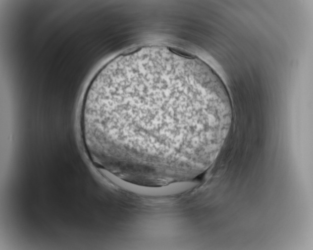 X0000096411152200802211220