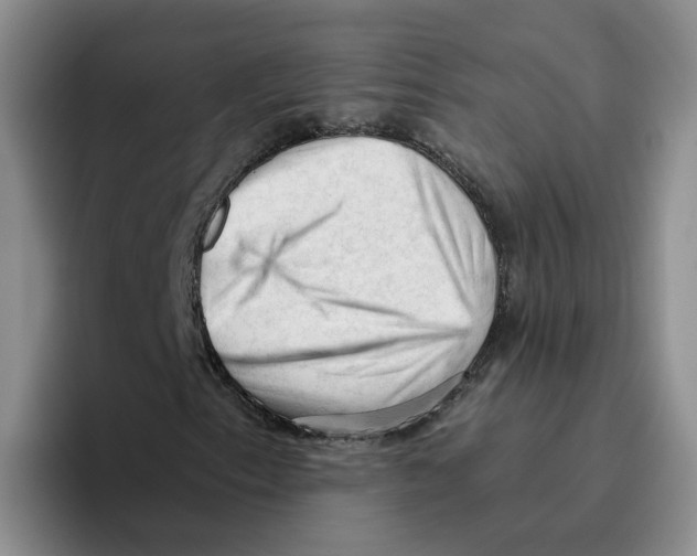 X0000096411153200802211219