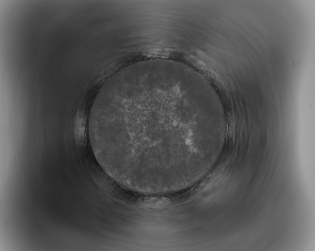X0000096411154200802211219
