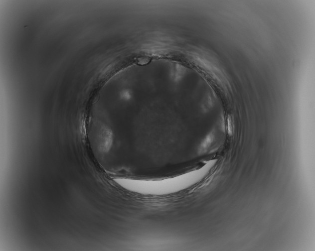 X0000096411155200802211219