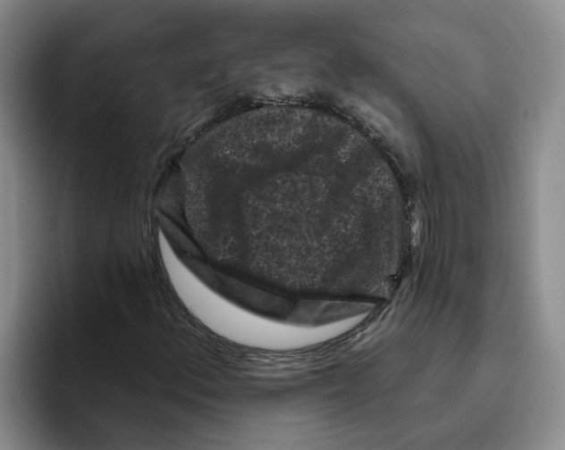 X0000096411156200802211219