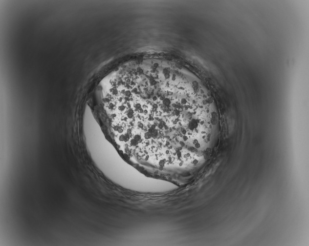 X0000096411158200802211219