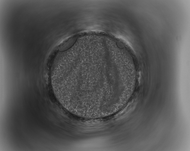 X0000096411159200802211219