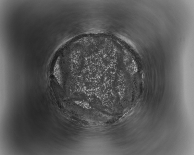 X0000096411160200802211219