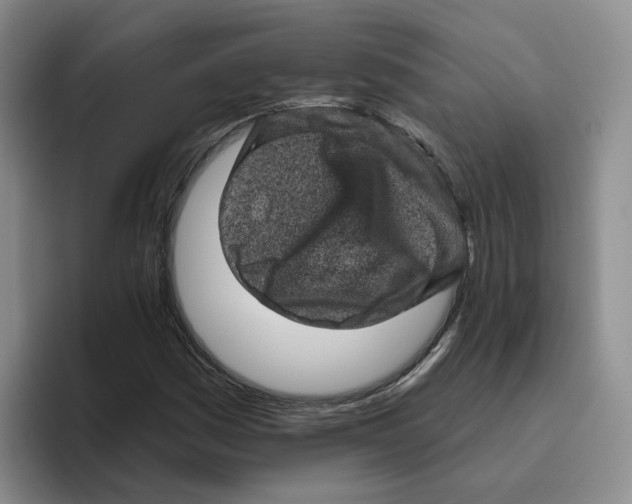 X0000096411161200802211219