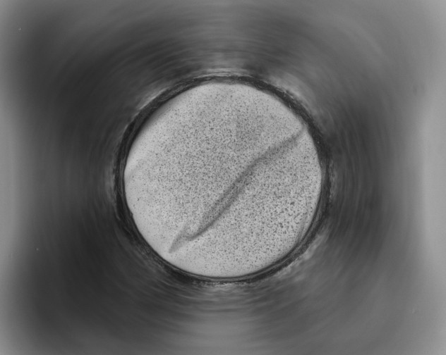 X0000096411162200802211219