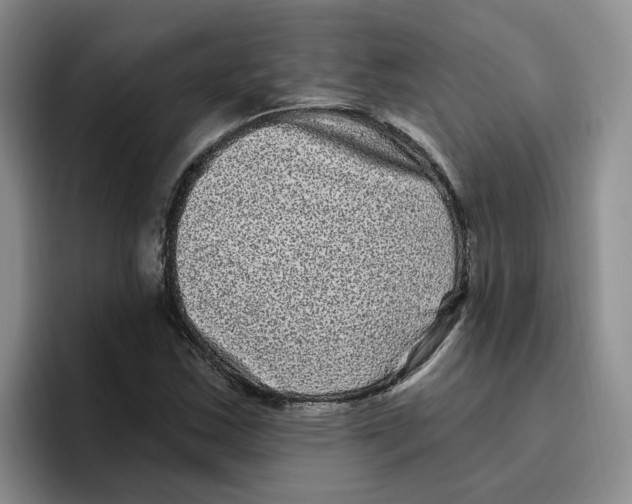 X0000096411163200802211219