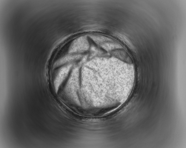X0000096411164200802211219