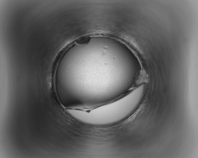 X0000096411165200802211219