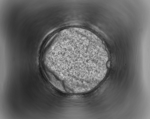 X0000096411166200802211219