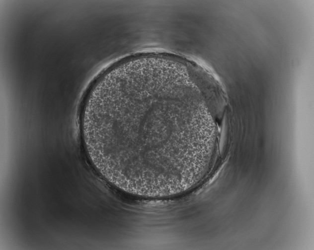 X0000096411167200802211219