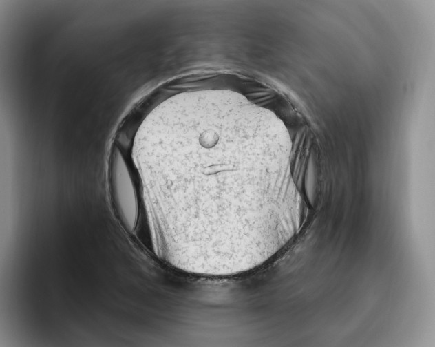 X0000096411168200802211219